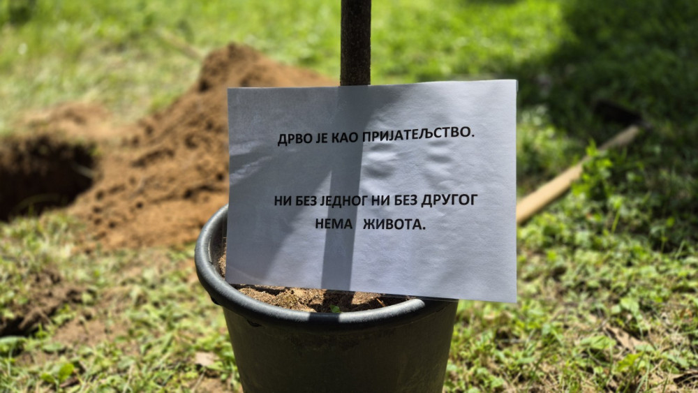 Слика