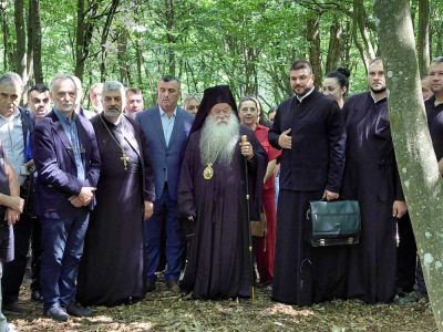 Слика вијести