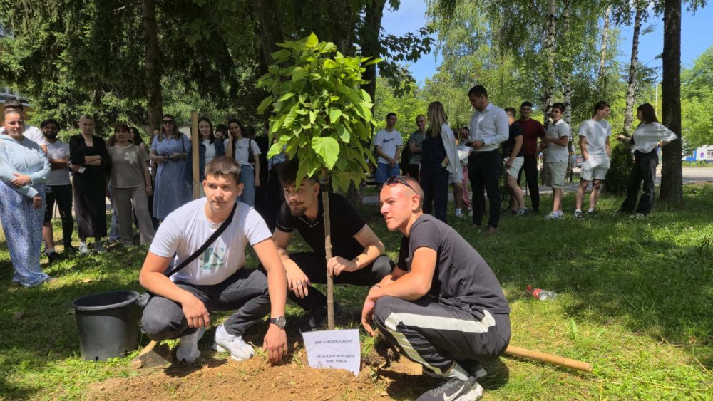 Слика