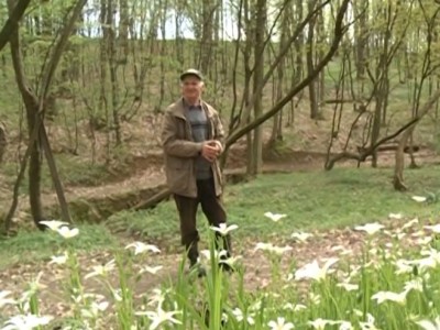 Слика вијести