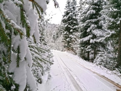 Слика вијести