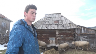 Слика вијести